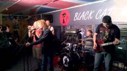 Звезда Полынь